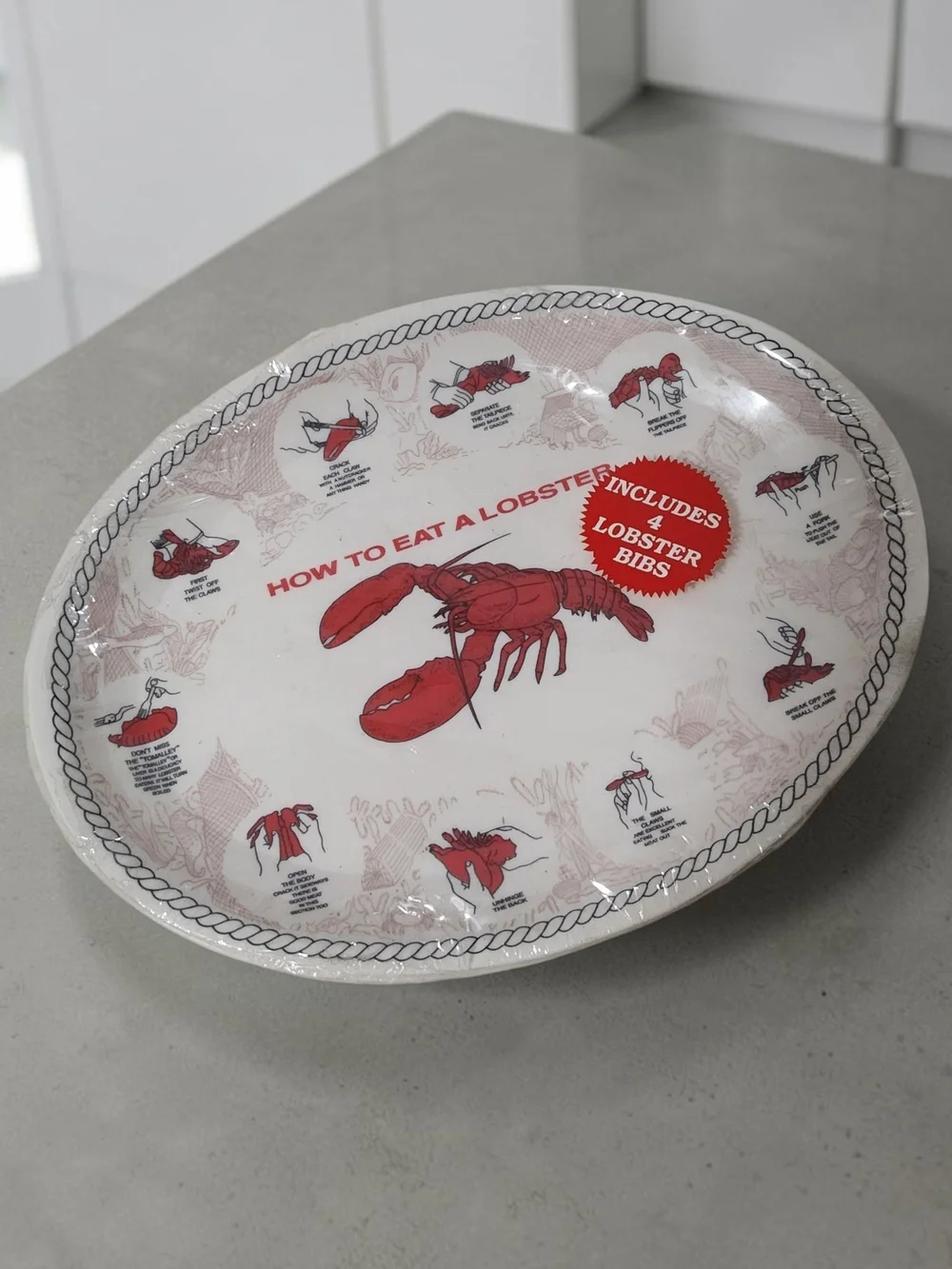 How to Eat a Lobster Serving Platter Set Of 4 And Bibs